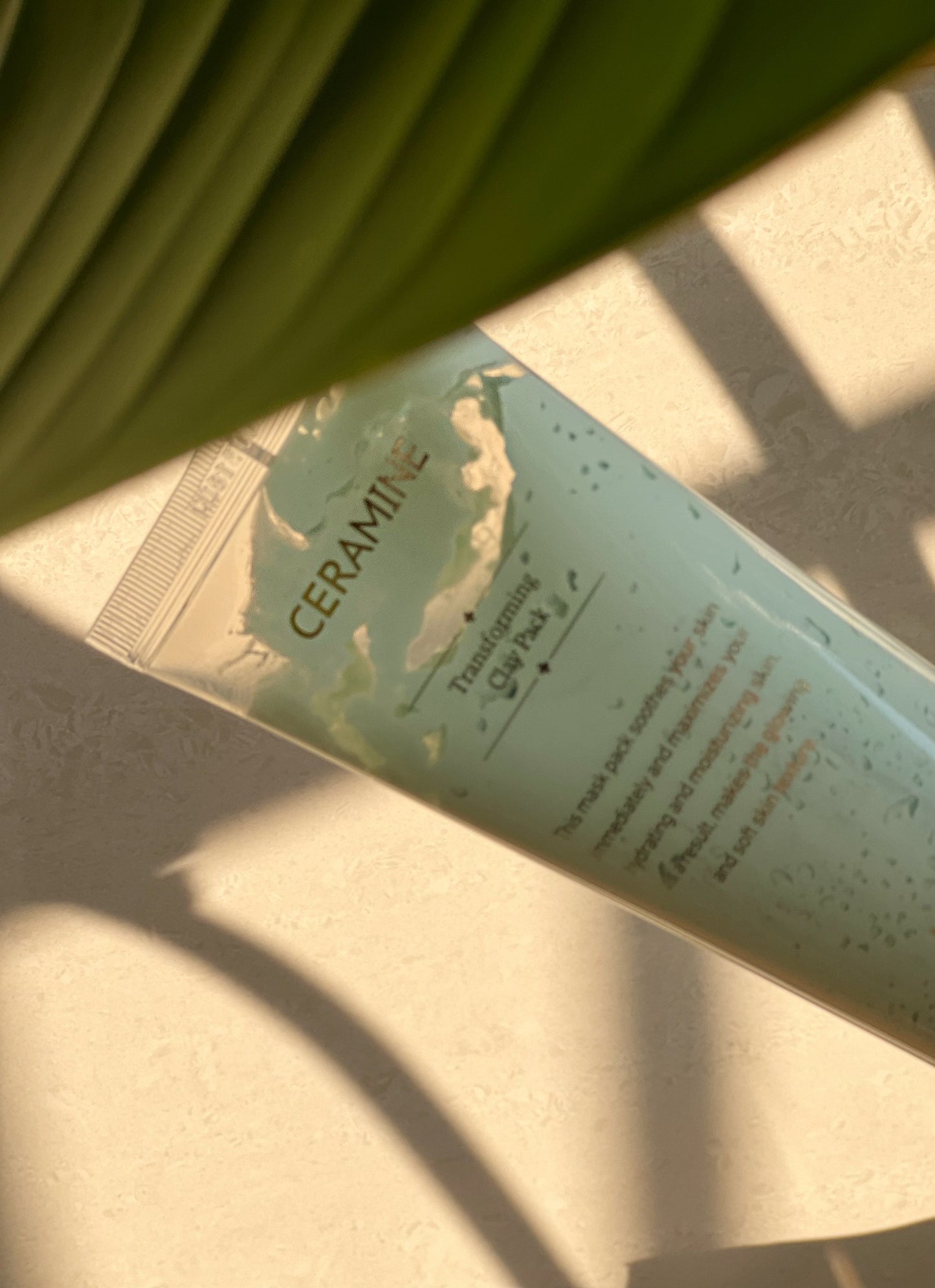 CERAMINE TRANSFORMING CLAY PACK