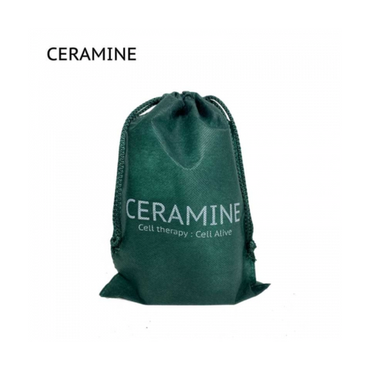 [LIMITED TO FIRST 50 PEOPLE] GREEN TRAVEL POUCH